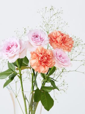 バラ・カーネーション