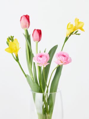 季節限定 ラナンキュラス